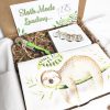 gift box for sloth lovers