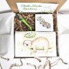 sloth housewarming gift box
